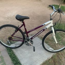 Schwinn 21-spd Beach Cruiser