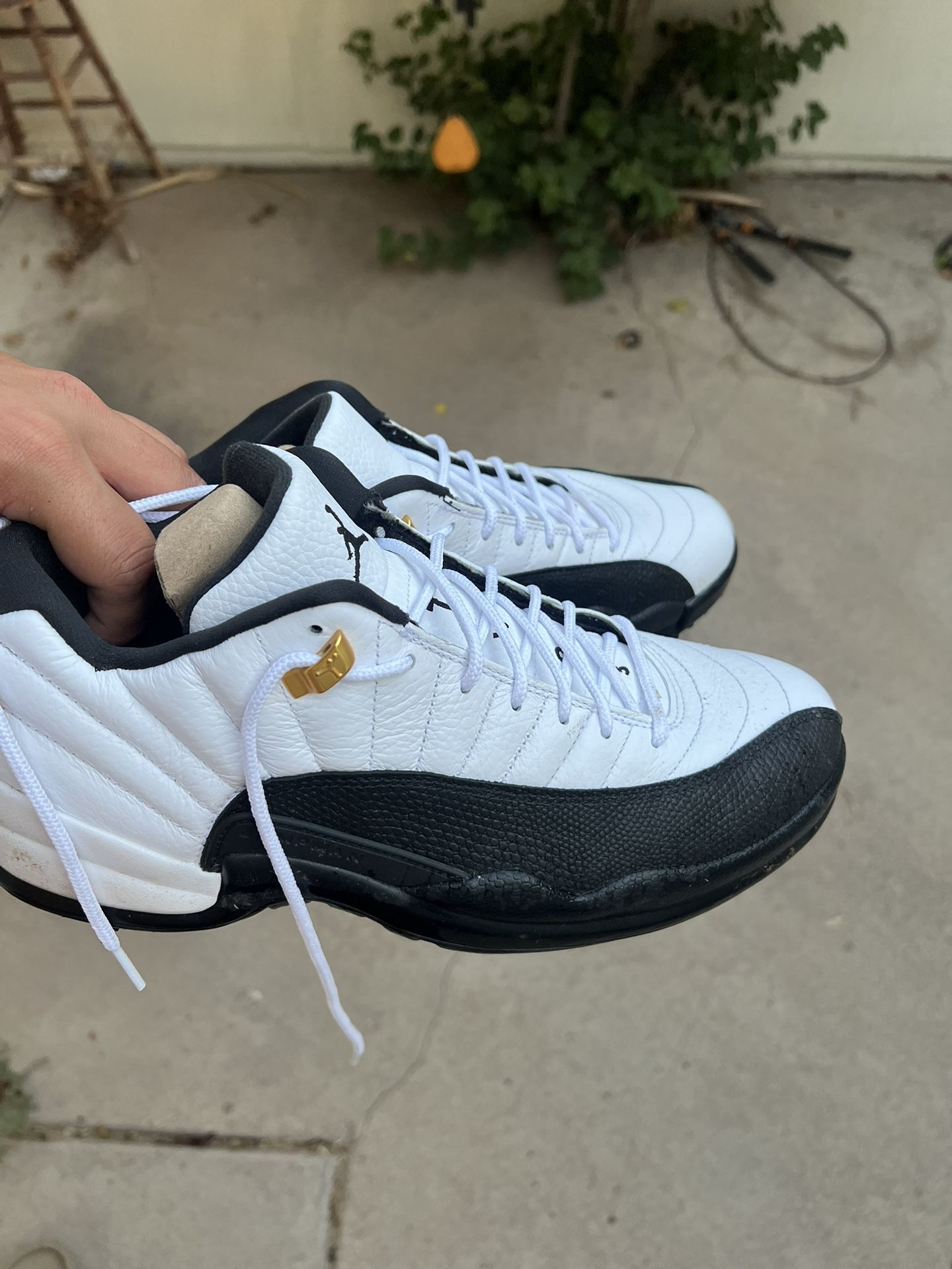 Jordan 12