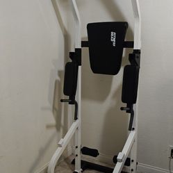 Fitness Gear Pro Power Tower Pull Ups And Dips