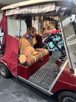 Club Car Golf Cart 4 passenger with Charger and enclosure
