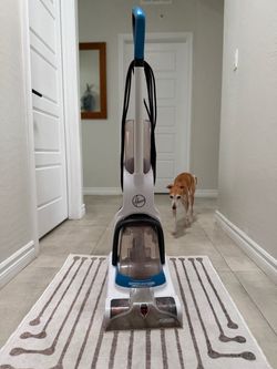 Hoover Powerdash Pet