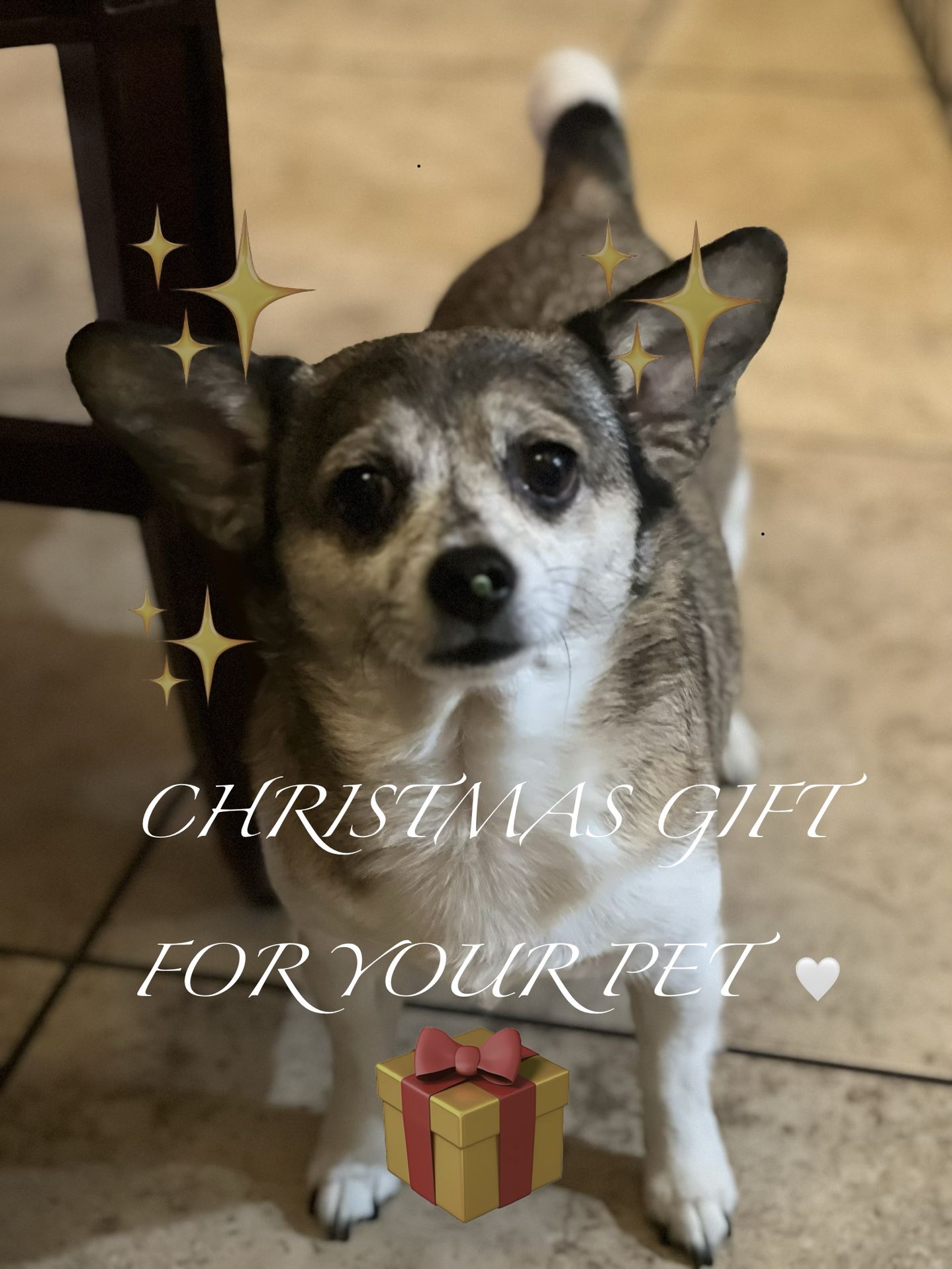 Backpack π PBSandwich π₯ͺ Pencil & Eraser βοΈ Note Page π