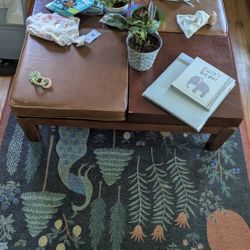 Big Coffee Table 