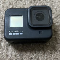 GoPro Hero 8 With Selfie Stick