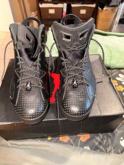 Air Jordan 6 retro size 12
