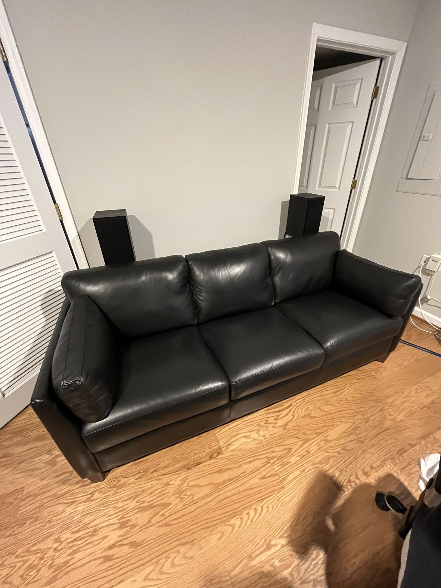 Leather Couch