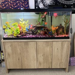 75 gallon aquarium/fishtank with stand