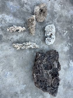 Saltwater Aquarium Dry Coral Rock —-REAL— Not Artificial