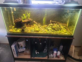 75 Gallon Aquarium 