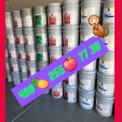 Paint For Sale 