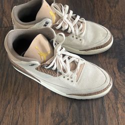 Air Jordan “Palomino” Size 13 Used. 