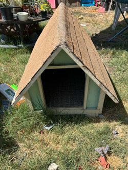 Dog House
