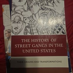 History Of Street Gangs In The United States