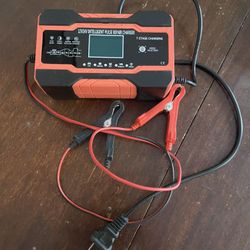 12V/24V Intelligent Pulse Repair Charger