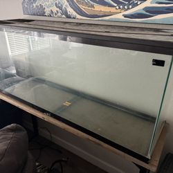 Fish Tank/ Animal Enclosure 