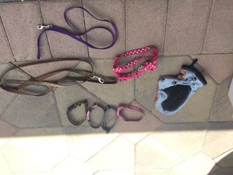 Small dog accessories