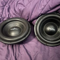 Skar 10” Subwoofers 