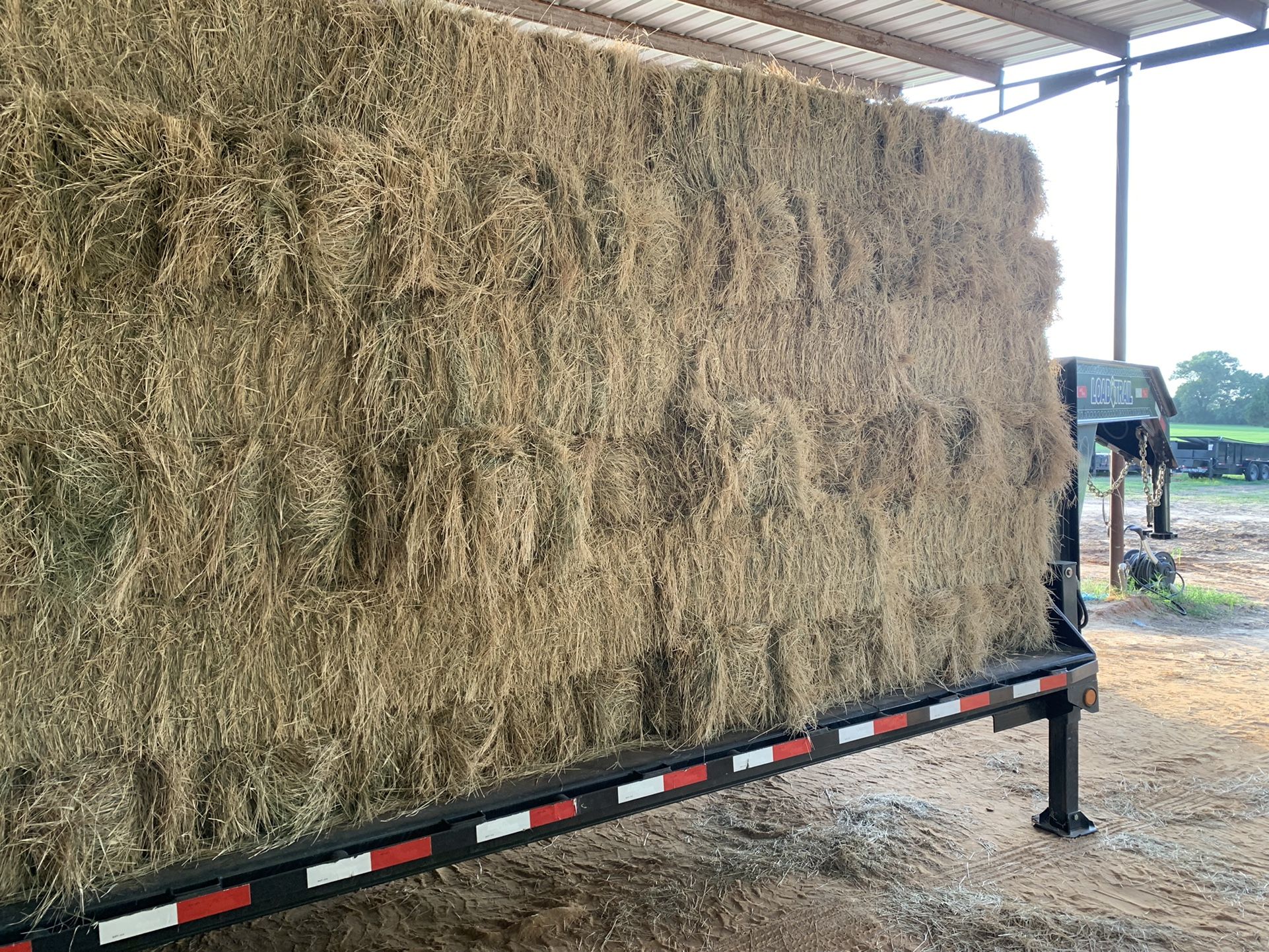 Coastal Horse Hay for Sale in Todd Mission, TX OfferUp