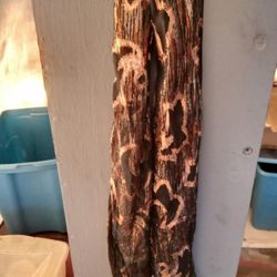 A Dark Brown & Gold Women's Scarf W/ Designs 