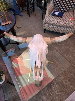 Rustic-style longhorn cattle skull
