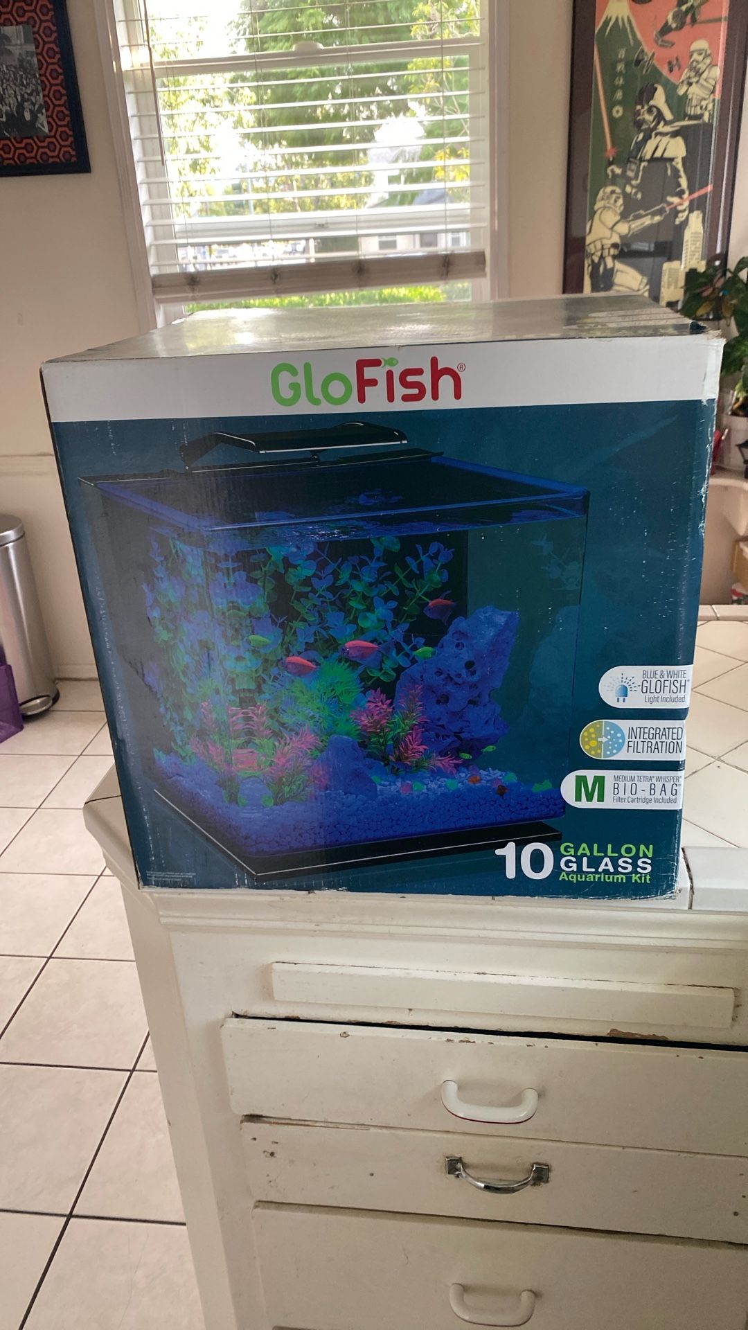 Fish Tank 10 Gallon comes with integrated built-in filtration system filter cartridge included,blue and White Light or you can use a plain white light
