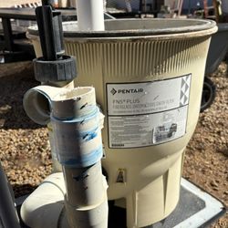 Pentair FNS PLUS Pool Filter Diatomaceous Earth