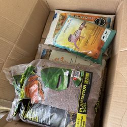 Soul For Reptile 