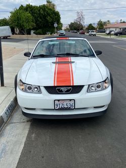 2000 Ford Mustang