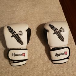Hayabusa Boxing Gloves