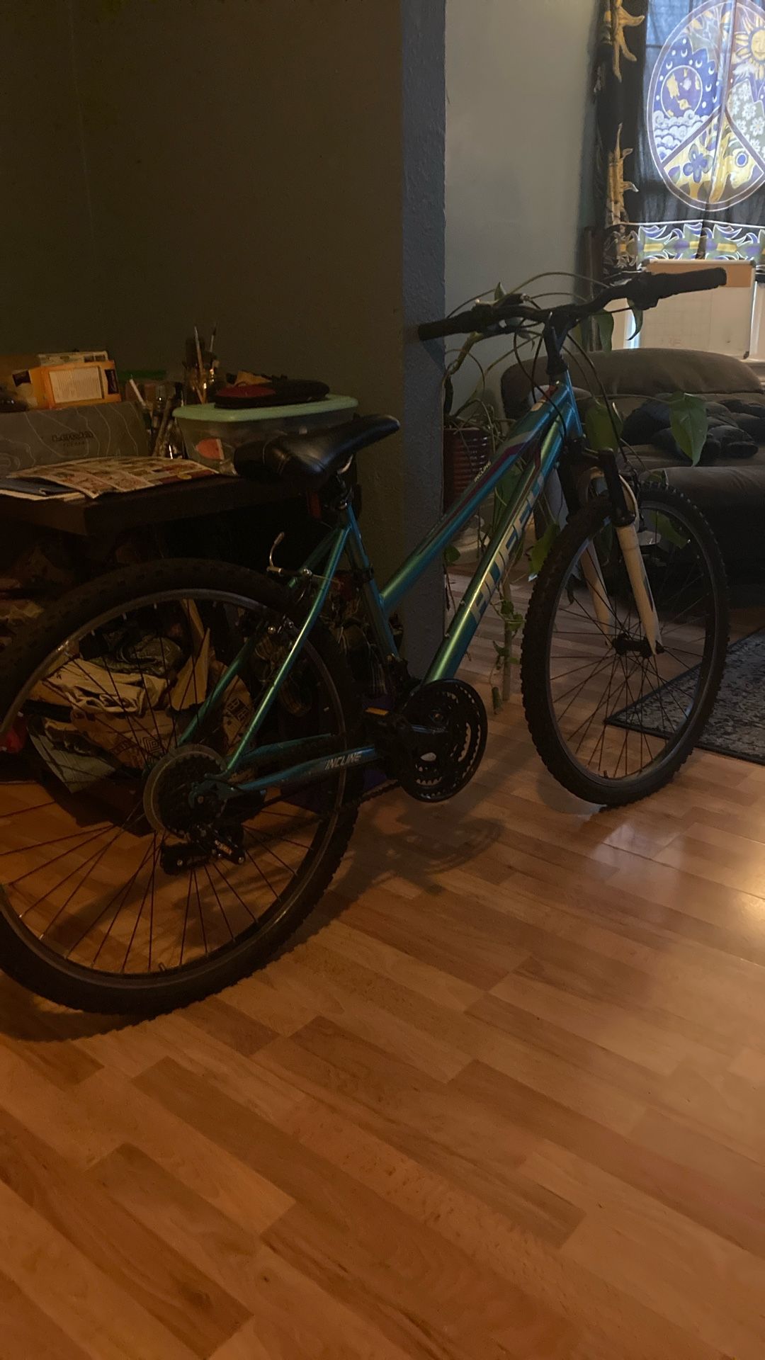 Huffy kids mountain bike