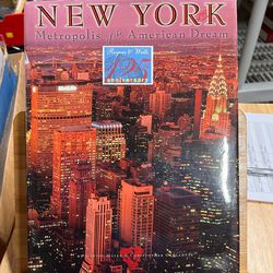 New York: Metropolis Of The American Dream Martin Mayer & Christopher Ouellette 1995 Hardback