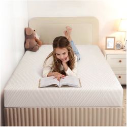 Two Twin Mattresses ($50 each)