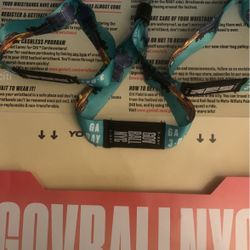 Governors Ball Pass
