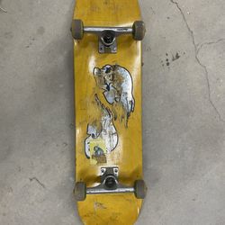 Skate Board 