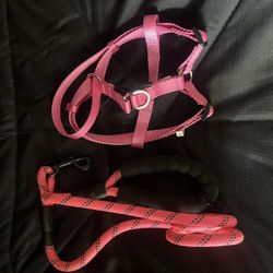 Medium Size Dog Harness And Leash (NEW)