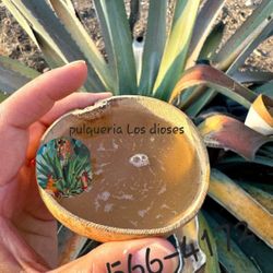 Pulquesito Naturalito De Maguey
