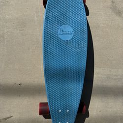 Penny board longboard