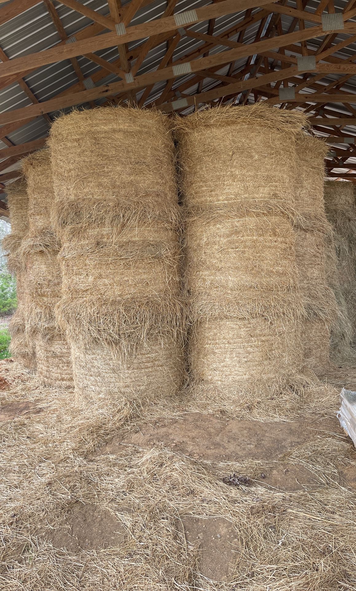 hay for sale