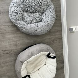 2 Dog Beds!  $8