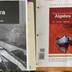 Beginning  &  Internedate Algebra  Books 