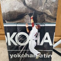 Mike Trout Canvas 