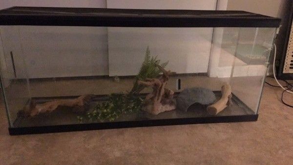 75 gallon reptile tank for Sale in Everett, WA - OfferUp