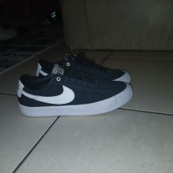 Nike Sb Zoom Blazer Low Pro Gt Shoes 