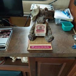 Teddy The Roughrider 100 Anniversary 