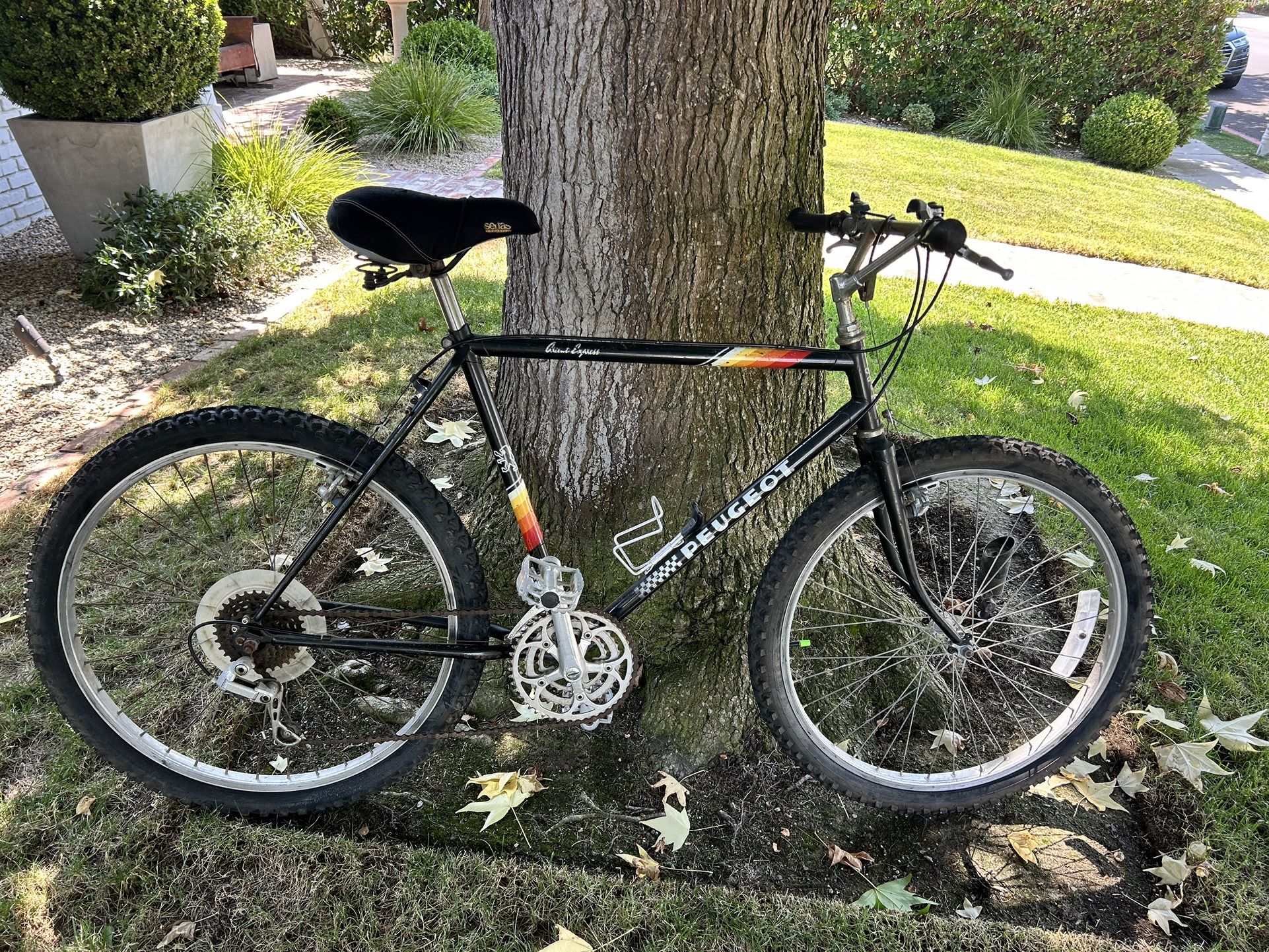 Vintage Peugeot Mountain Bike