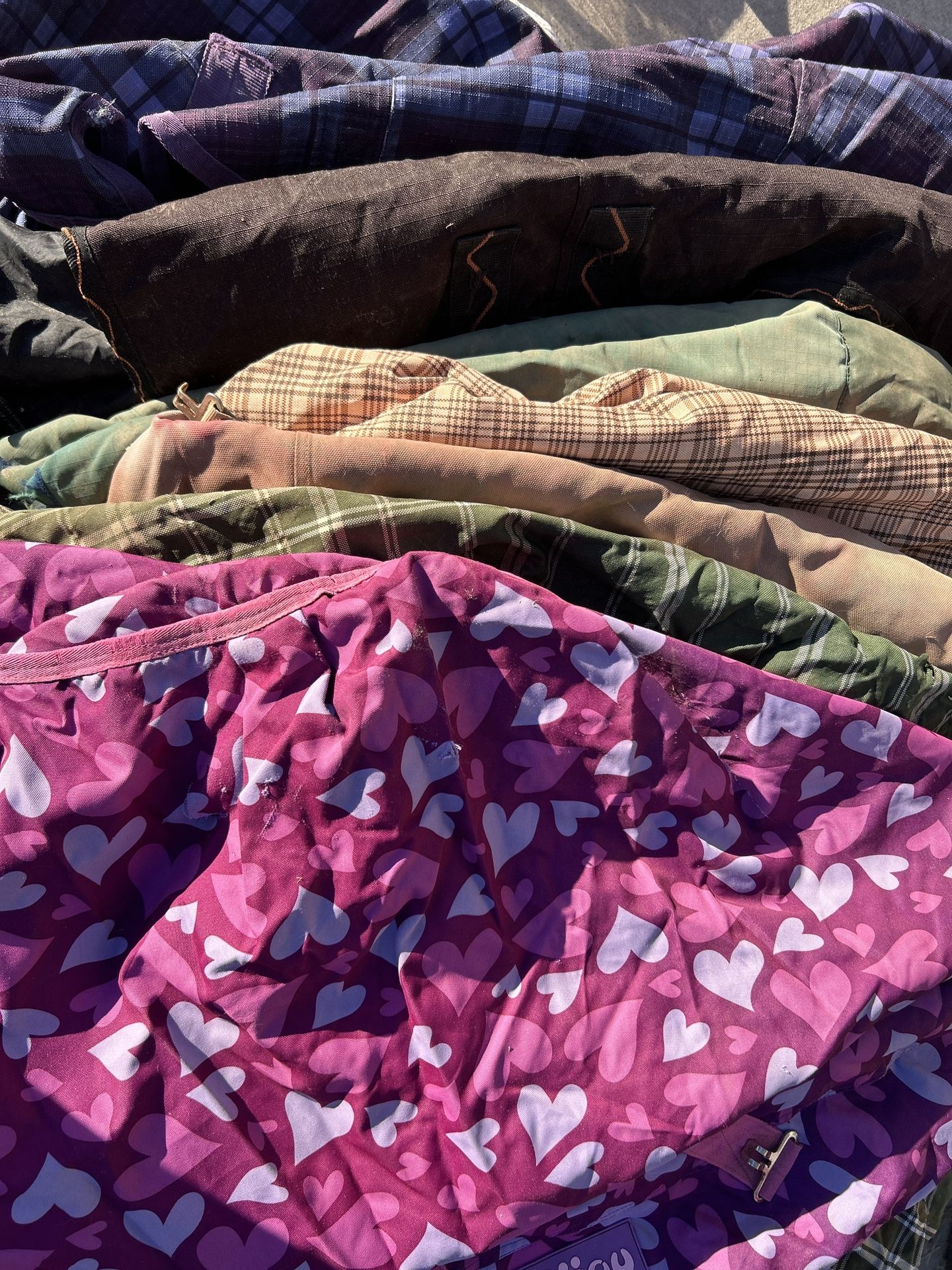 FREE! 7 Assorted Horse and Pony Blankets and Sheets for Repair or Parts
