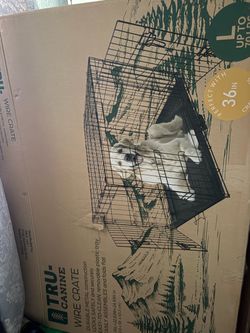 dog crate