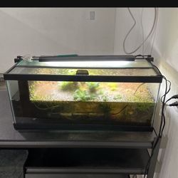 20 Gal Fish Tank Long 