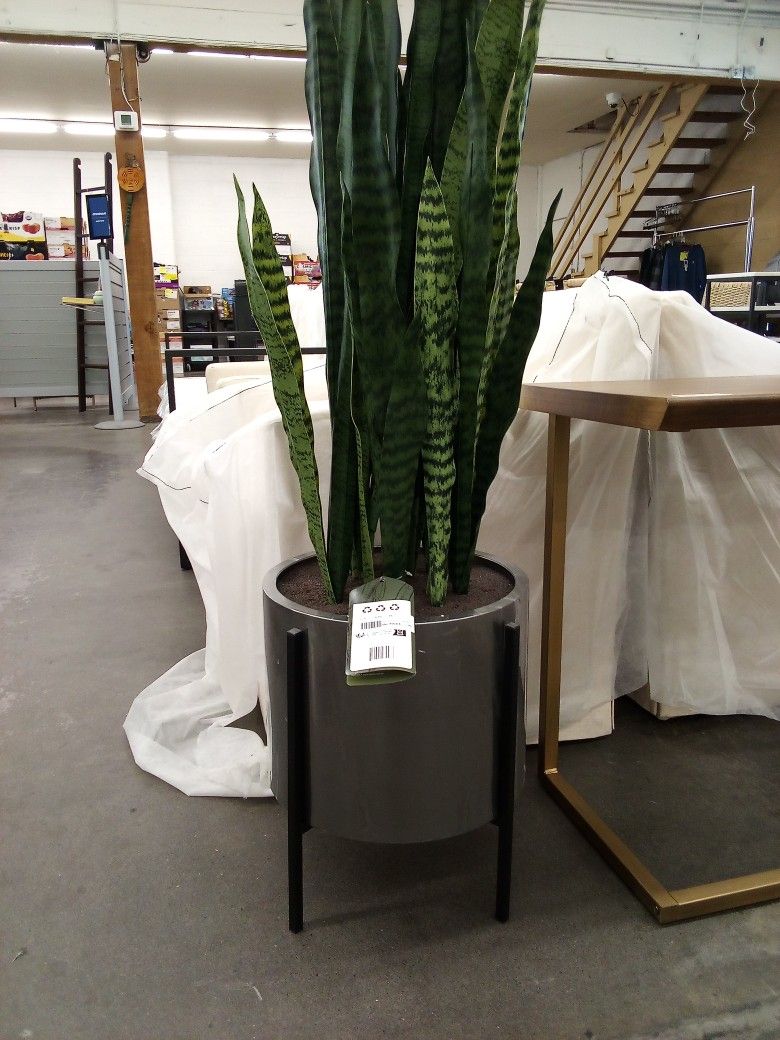 Faux 53" Snake Plant