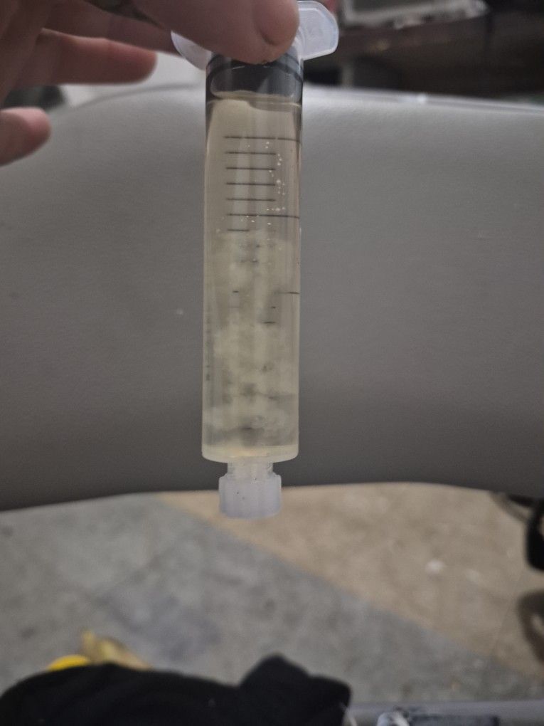 Liquid Culture Syringes